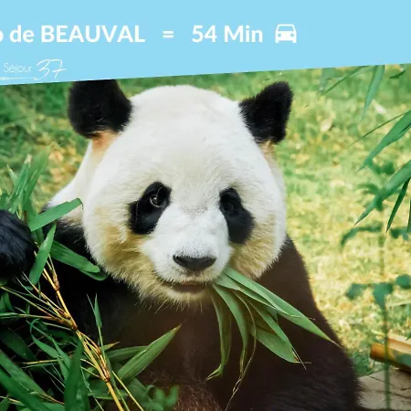 Colbert Cœur De - Cathédrale Saint Gatien Appartamento *