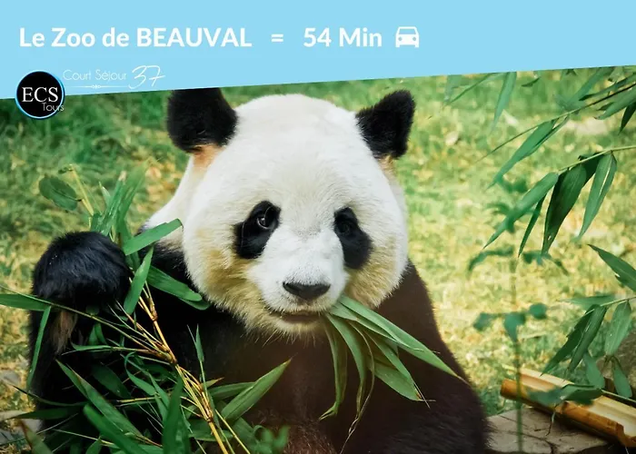 Colbert Cœur De - Cathédrale Saint Gatien Appartement *