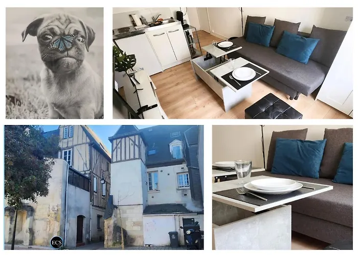 Colbert Cœur De - Cathédrale Saint Gatien Tours